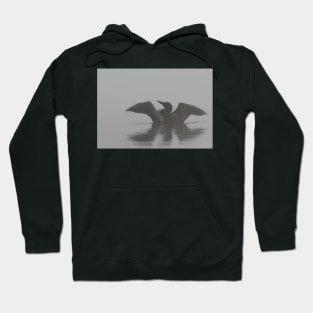 Common loon Hoodie